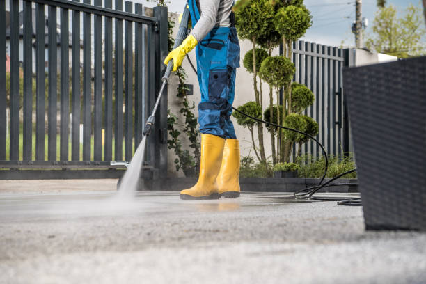 Best Driveway Pressure Washing  in Pocono Woodland Lakes, PA